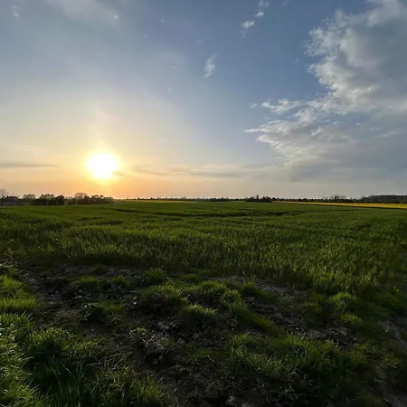 4 Star Holiday Home In Haderslev *