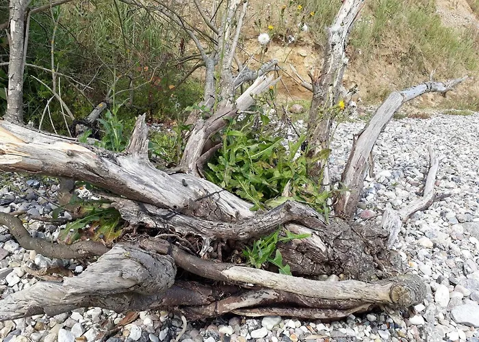 בית נופש 6 Person In Haderslev-by Traum *